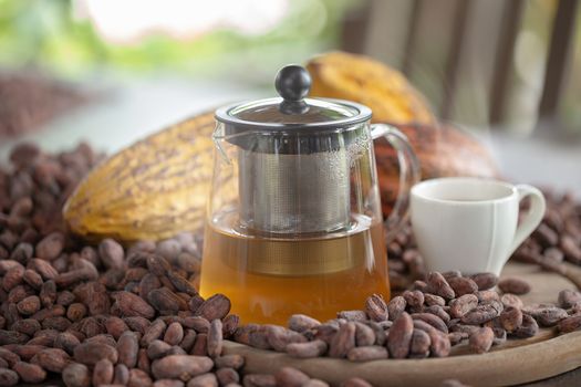 Hot cocoa tea on cocoa seeds and cocoa pod background
