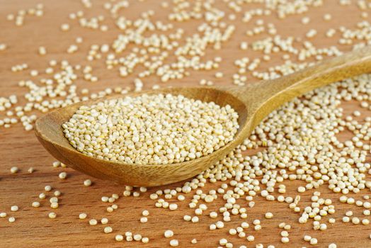 Raw quinoa seeds in wooden spoon