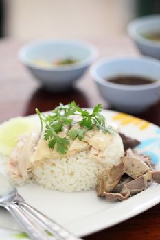 Thai food gourmet steamed chicken with rice , khao mun kai in wo