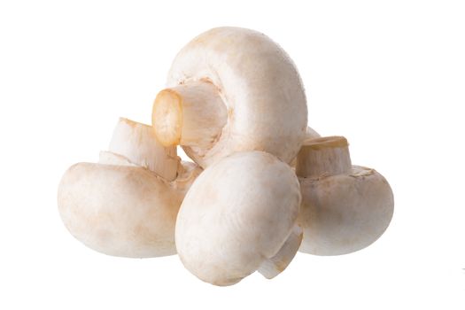 White champignon mushrooms, Champignon Isolated on White Backgro