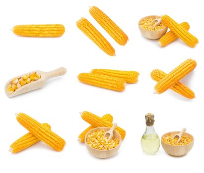 Dried corn maize isolated on the white background