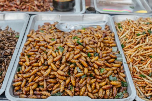 Crispy fried silkworm pupae in tray for sale