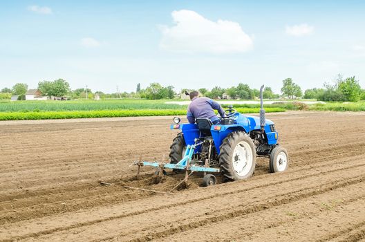 Farmer on a tractor with a cultivator processes a farm field. Soil preparation, cutting of rows for planting crop plants. Farming agribusiness. Agricultural industry. Growing vegetables food plants.