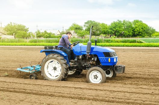 A white caucasian farmer on a tractor making rows on a farm field. Preparing the land for planting future crop plants. Cultivation of soil for planting. Agroindustry, agribusiness. Farming, farmland.