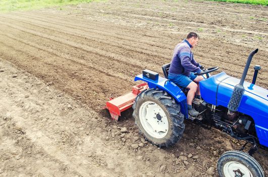 A farmer on a tractor cultivates a farm field. Grinding and loosening soil, removing plants and roots from past harvest. Field preparation for new crop planting. Cultivation equipment.