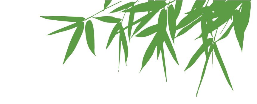 bamboo leaves silhouette