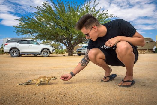 Tourist feeding a squirrel in Solitaire, Namibia