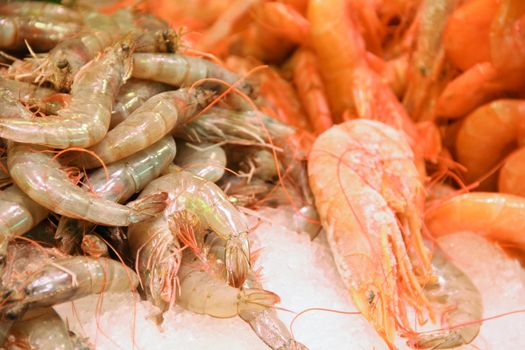 Fresh Shrimp seafood on ice