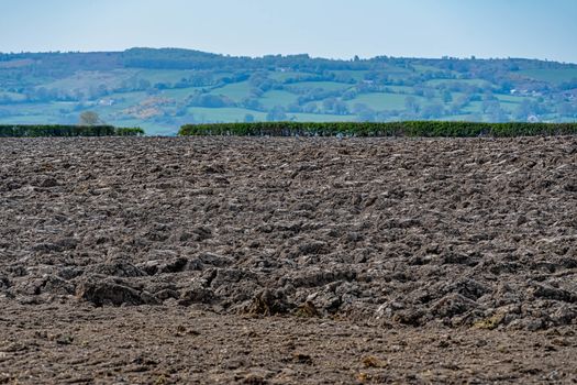 Rough Ploughed field