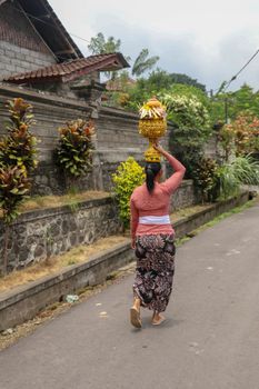 Beautiful Balinese woman in Traditional Costumes - sarong, Carrying on Heads for ceremony. Woman go to a Hindu temple. Arts festival, Bali island and Indonesia people culture. Asian travel background