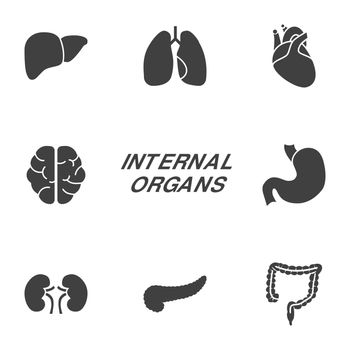 Internal Organs Glyph Icons