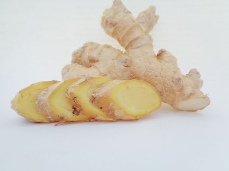 Bitter ginger with white background. Bitter ginger also called Zingiber zerumbet, awapuhi, shampoo ginger, lempuyang and pinecone ginger. Used as food flavoring and appetizers in various cuisines food