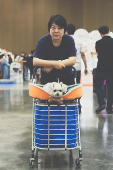 Asian woman and the dog in exhibit hall or expo