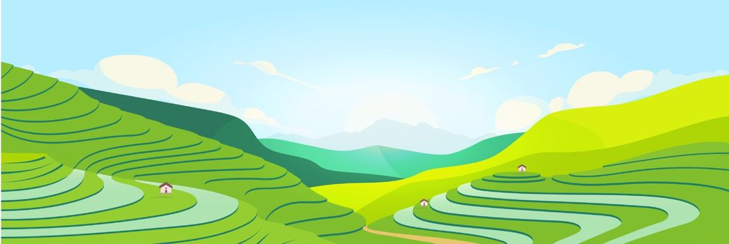 Terraced fields at sunset flat color vector illustration
