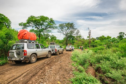 Expedition in the rainforest of southern Ethiopia
