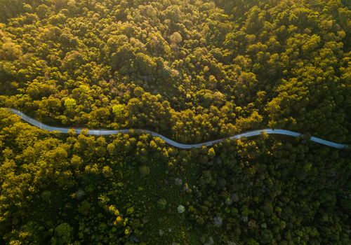 Top view ofcountryside road passing through the green forrest an