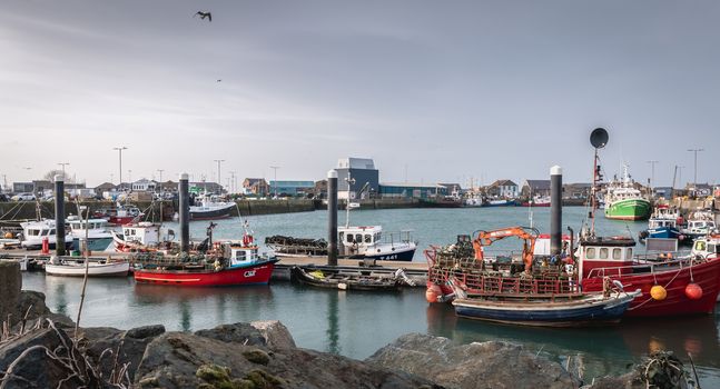 view of the fishing port of Howth, Ireland