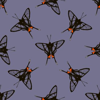 seamless pattern of realistic butterflies. vector illustration