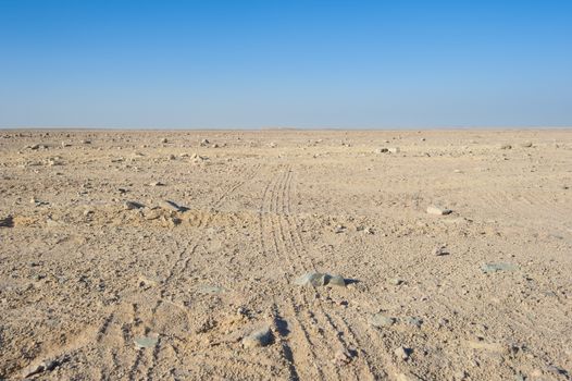 Vehicle tracks through an arid desert