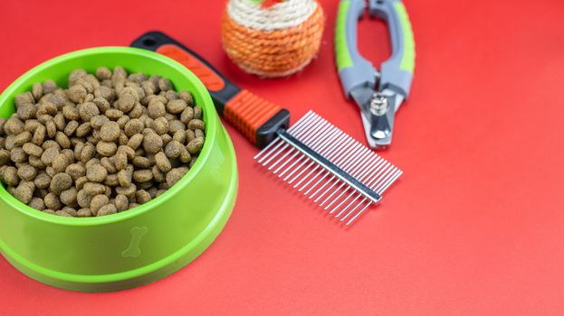 Dry food in bowls, toy, comb and leashes for pets