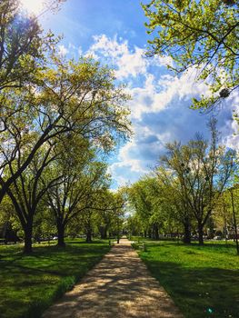 Sunny alley in the city park in spring, nature and outdoor landscape