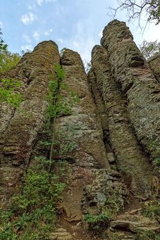 Columnar basalt at Hungary,Badacsony
