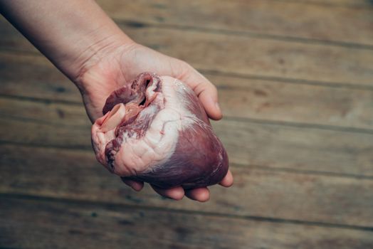 Heart (pig heart) in hand for cardiology concept