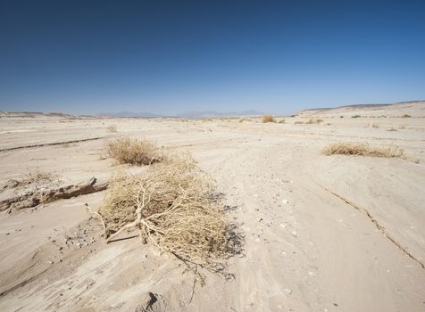 Barren desert landscape in hot climate
