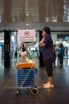 Bangkok, Thailand - July 1, 2017 : Unidentified asian woman feeling shocked when her and her pet (The dog) on shopping cart found warning sign No Pets Allowed at entrance door for exhibit hall or expo