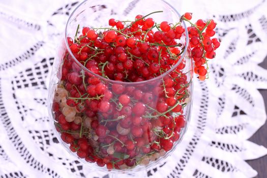 Yellow and red currant in balloon wine glass