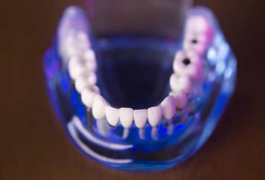 Denture for dentistry students