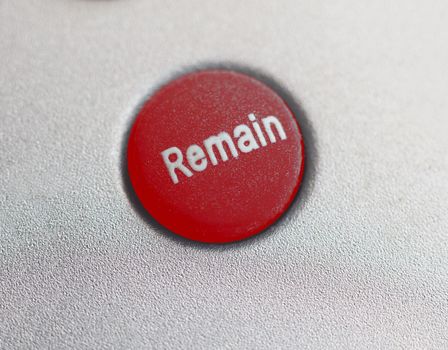Red Remain button (Brexit)