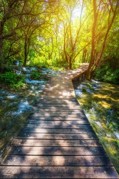 Krka national park wooden pathway in the deep green forest. Colo