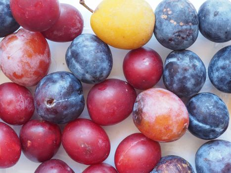 prune fruit food
