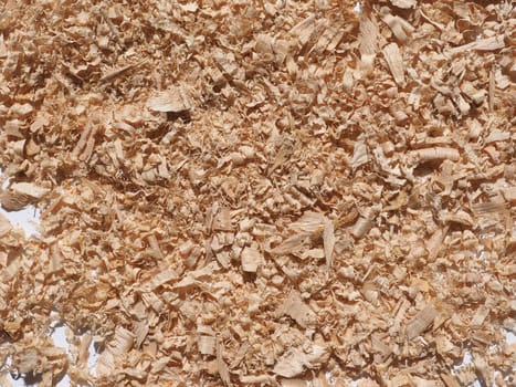 Sawdust wood dust