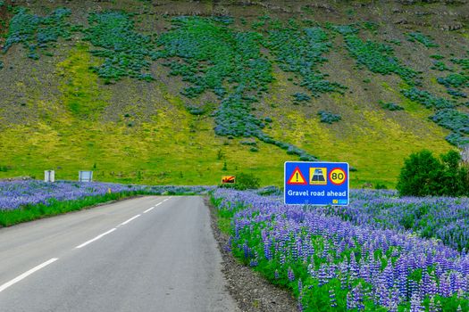Gravel road sign, Iceland