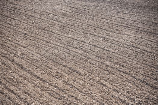 row in a plow field prepared for planting crops in spring - plow