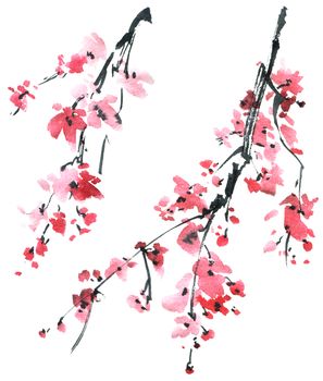 Blossom sakura tree