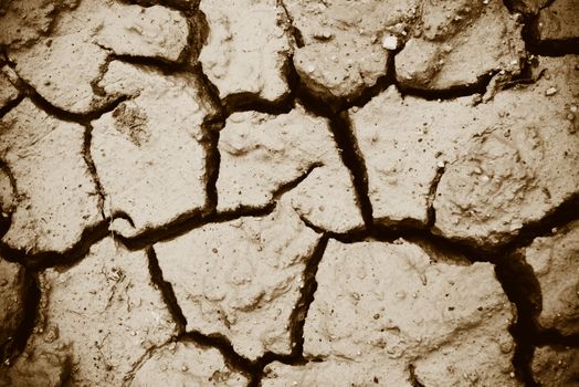 Cracks of the dried soil in arid season / Arid soil , Cracked ea