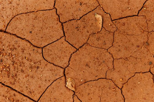 Cracks of the dried soil in arid season / Arid soil , Cracked ea