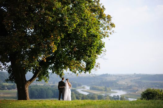 Bride and groom standing under an oak