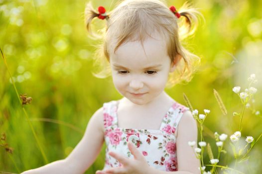 Adorable preschooler girl in a meadow