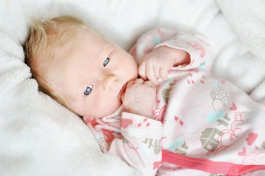 Newborn baby girl portrait