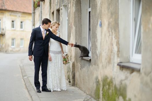 Bride, groom and a cat