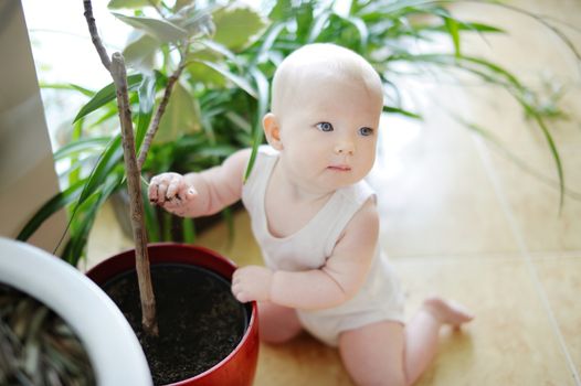 Adorable baby girl with a flowers pot