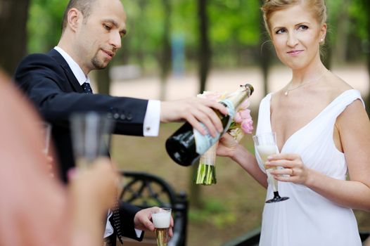 Wedding guests toasting bride and groom