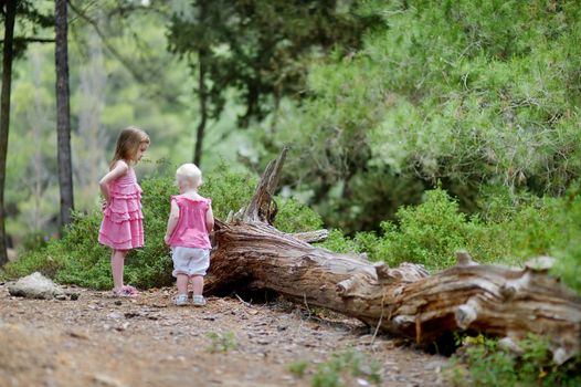 Two sisters having a walk in the woods