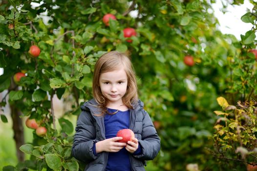 Little girl with an apple by an apple tree