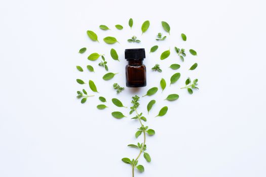 Top view. Bottle of essential oil with marjoram on white 