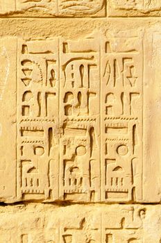 Hieroglyphs in Karnak, Egypt
